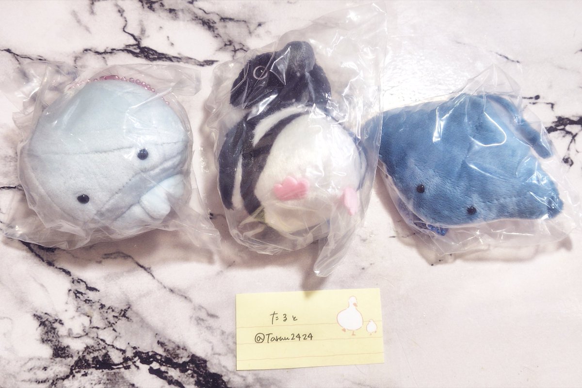 Taruu2424's tweet photo. かわいいかわいいぬいぐるみ 水族館のいきもの2 ガチャ 交換

求┆シャチ

譲┆クラゲ・マゼランペンギン・エイ

郵送でのお取引になります

お気軽にお声かけください🙇🏻‍♀️⸒⸒ https://t.co/OYbxf94epV
