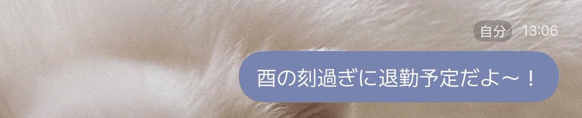 minmin8_13's tweet photo. んでだよwwww https://t.co/gqqLKNitCn