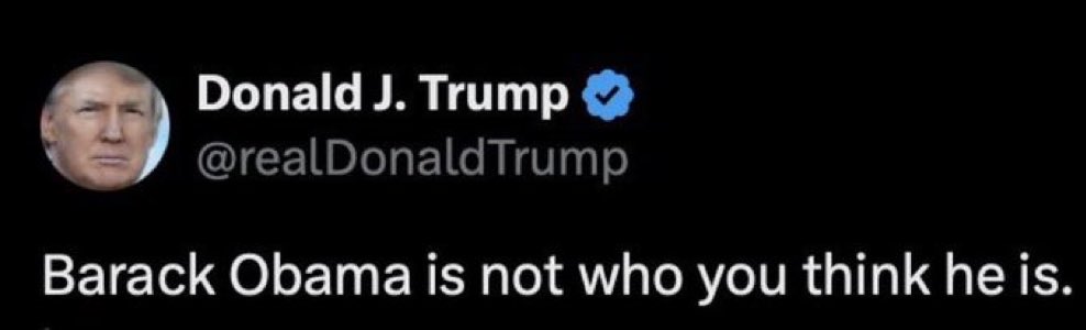 SpaceXchiefx's tweet photo. Trump was right about everything,  including Barack Obama’s FAKE birth certificate https://t.co/JsWh5DGSfP
