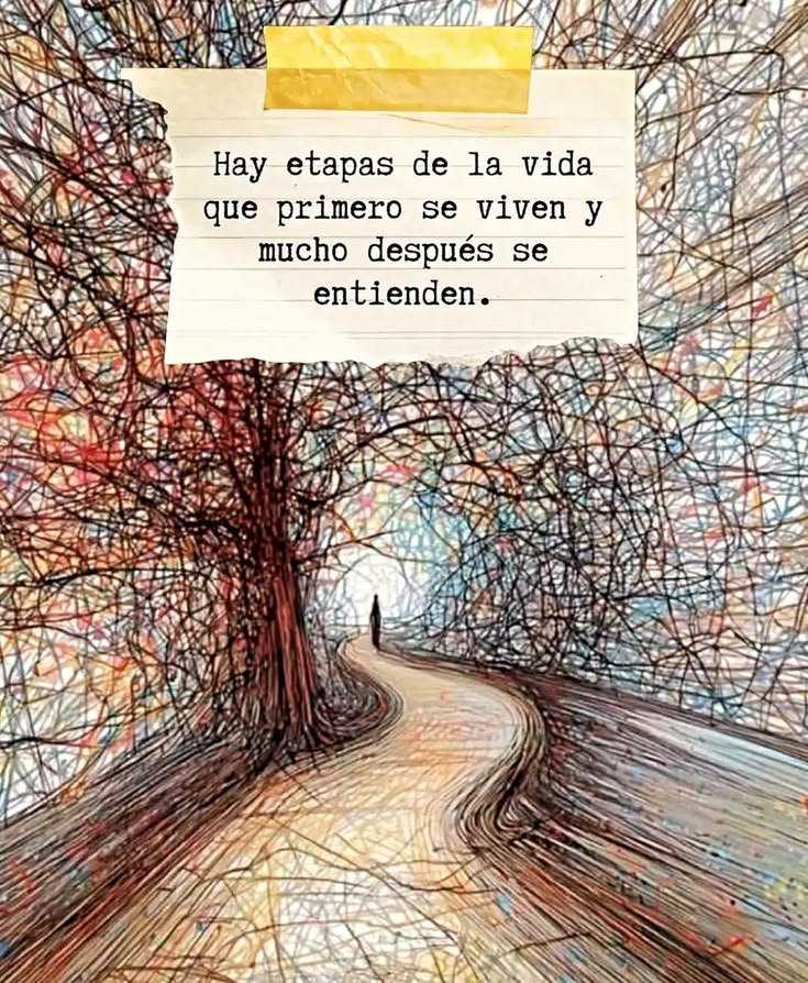 IntriagoRamn263's tweet photo. La vida se comprende mirando hacia atrás, pero debe ser vivida mirando hacia adelante. https://t.co/ABNmbZ5mOf