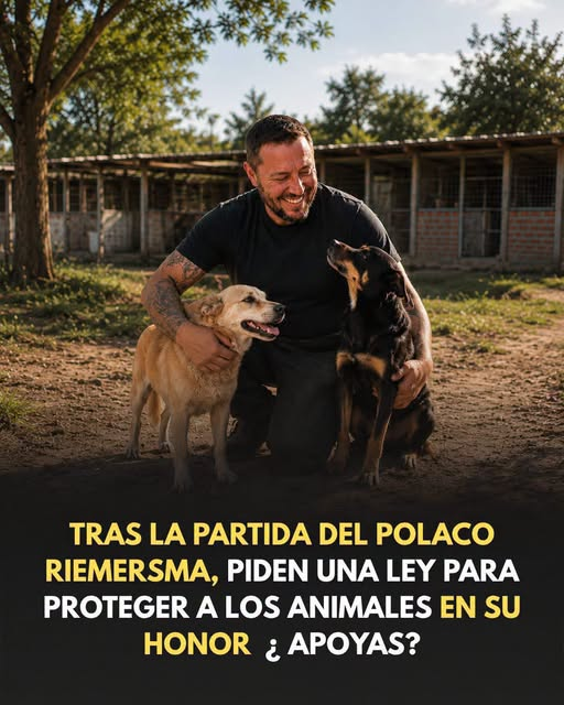 martaalfano's tweet photo. Durante años, dedicó su vida a rescatar perros abandonados en Santiago del Estero, Argentina.
Eduardo “El Polaco” Riemersma estaba al frente de El Montecito de los Canichones, un refugio dedicado a cuidar perros abandonados.crear una ley en su honor que proteja a los animales. https://t.co/xHoRqUBNfb