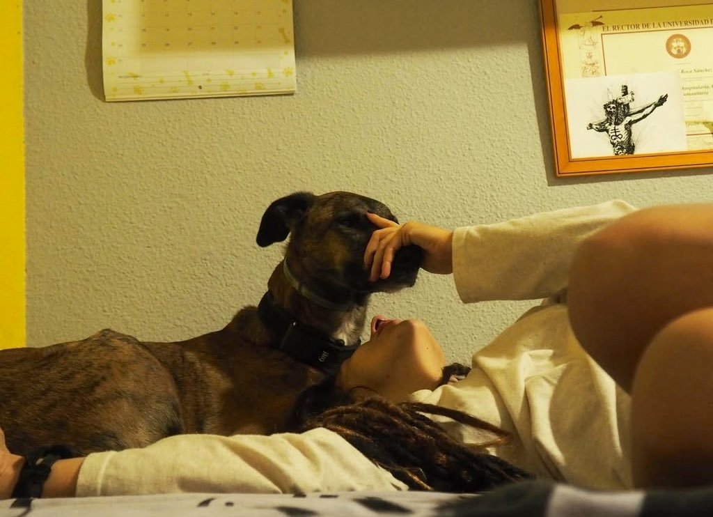 Cassandrafkc's tweet photo. A cozy cuddle after a long day is one of those little moments that makes everything feel right 🐶❤️ Stay close and subscribe

https://t.co/bywF04s8UQ https://t.co/vZcr0SHTK7