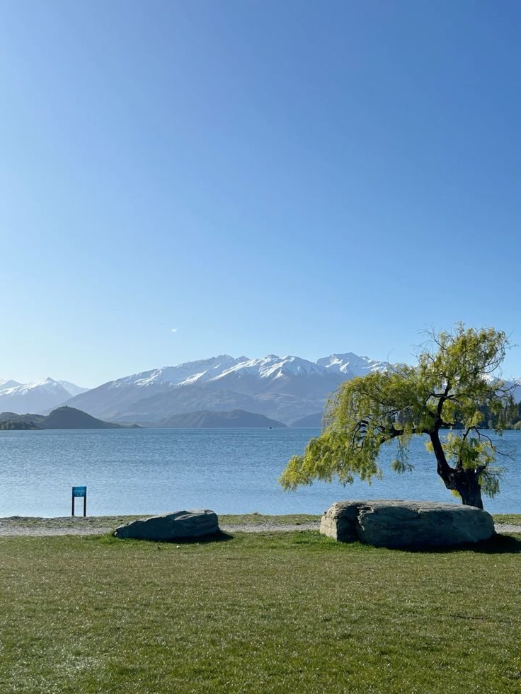 echoesofworld's tweet photo. New Zealand https://t.co/Z48abGZOQp