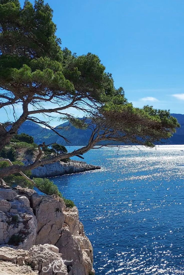 echoesofworld's tweet photo. Capri, Italy https://t.co/RPWvafFwy2