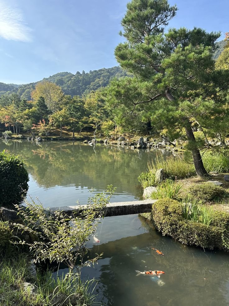 echoesofworld's tweet photo. Kyoto, Japan https://t.co/FORD3cZcXc