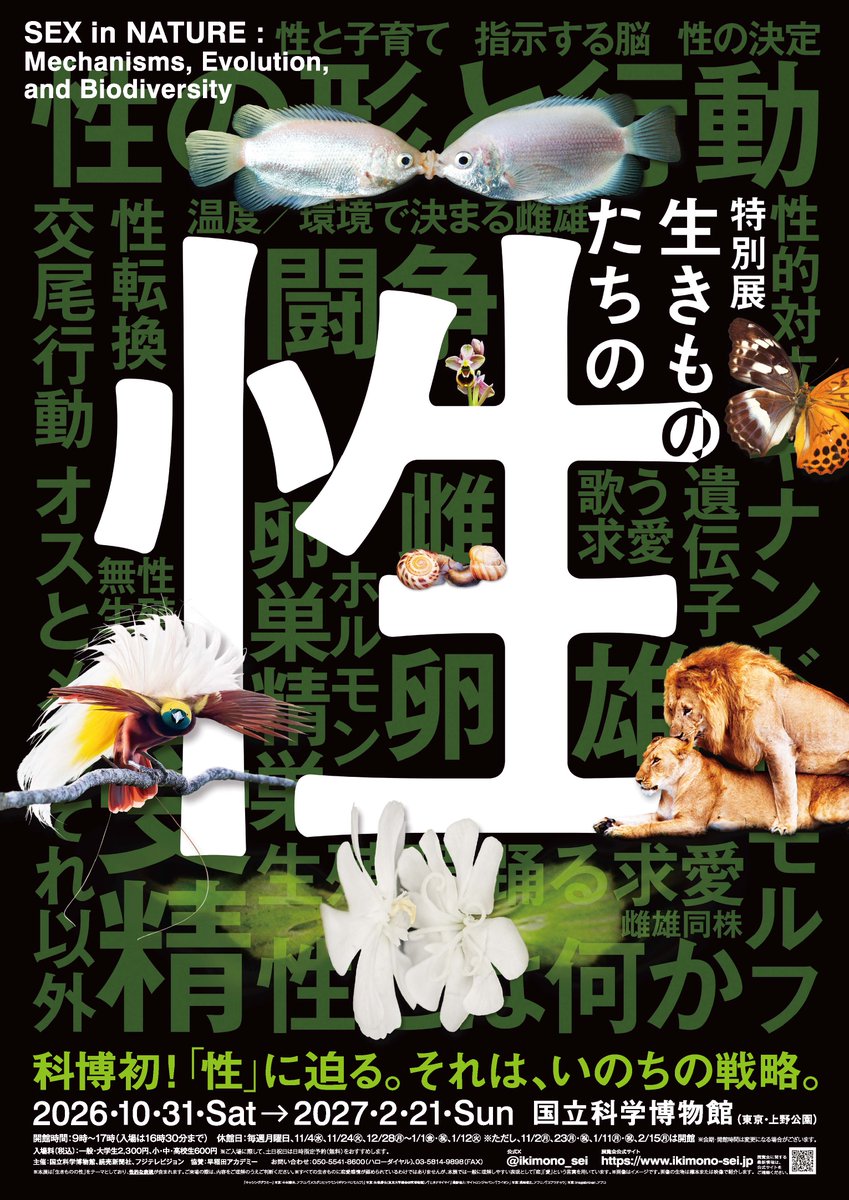 museum_kahaku's tweet photo. ＼＼＼💁‍♂️開幕まで  あと1か月💁‍♀️／／／

特別展「#生きものたちの性」

◆会期：2026年10月31日㈯～2027年2月21日㈰
◆場所：#国立科学博物館

#かはく として初めて“性”をテーマに据えた、生きものがもつ多様な性の姿とその仕組みに迫る特別展です。
お楽しみに‼️
https://t.co/ozylcxXm6j https://t.co/yg81TXy3mP