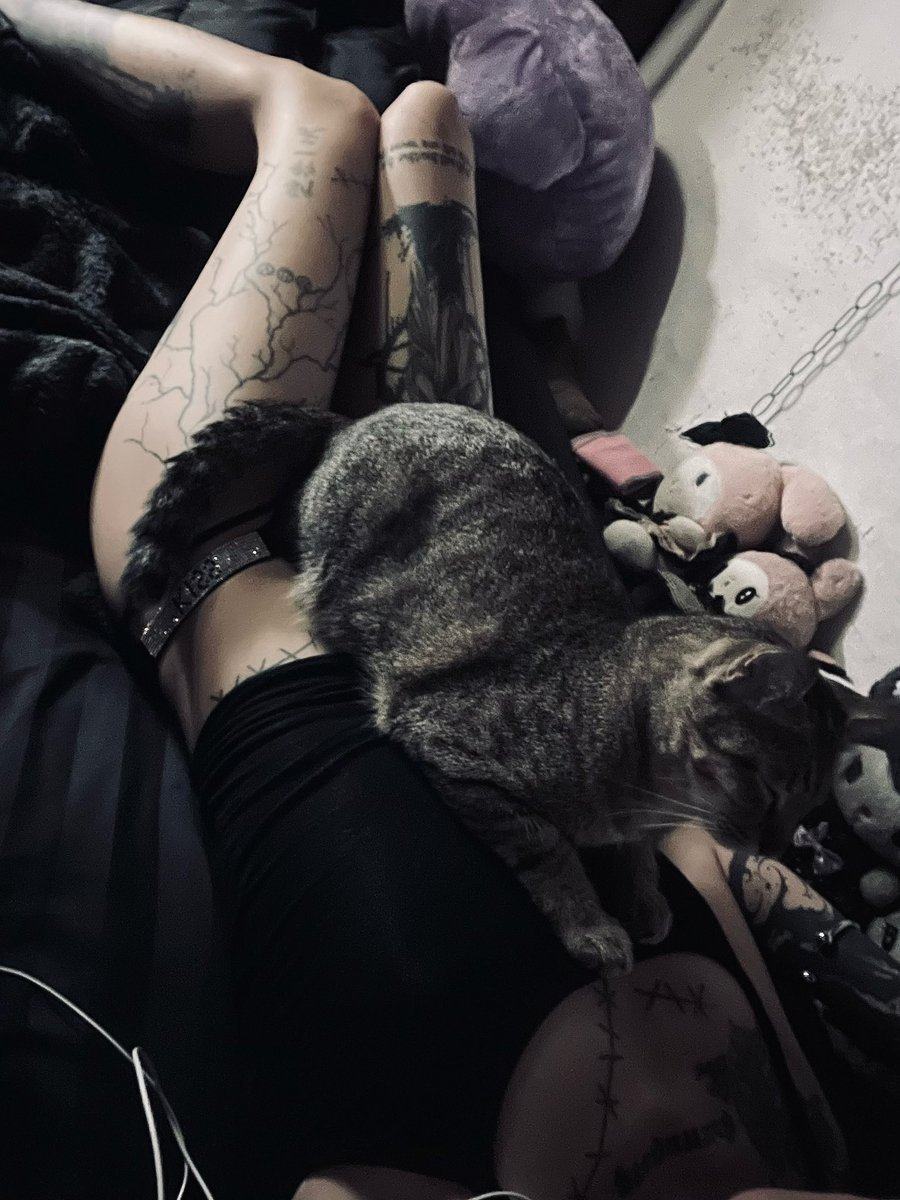 kittie6664's tweet photo. คัมแบคม่ะ https://t.co/2IoIVfaBKM