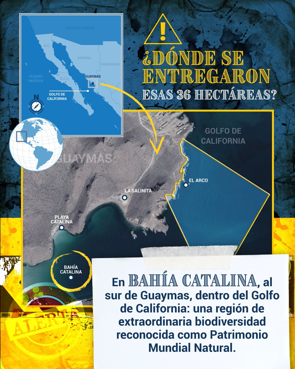 DefensaDan's tweet photo. En 2025 se cedieron 36 hectáreas del Golfo de California para AMIGO LNG. La autorización ambiental llegó un año después y hoy sus efectos sobre las obras están suspendidos por un juez.
Quedan preguntas sin respuesta. Lee el reportaje de @elpaismexico 👇
https://t.co/LMIoq7ZvID https://t.co/CVREAYLBnZ