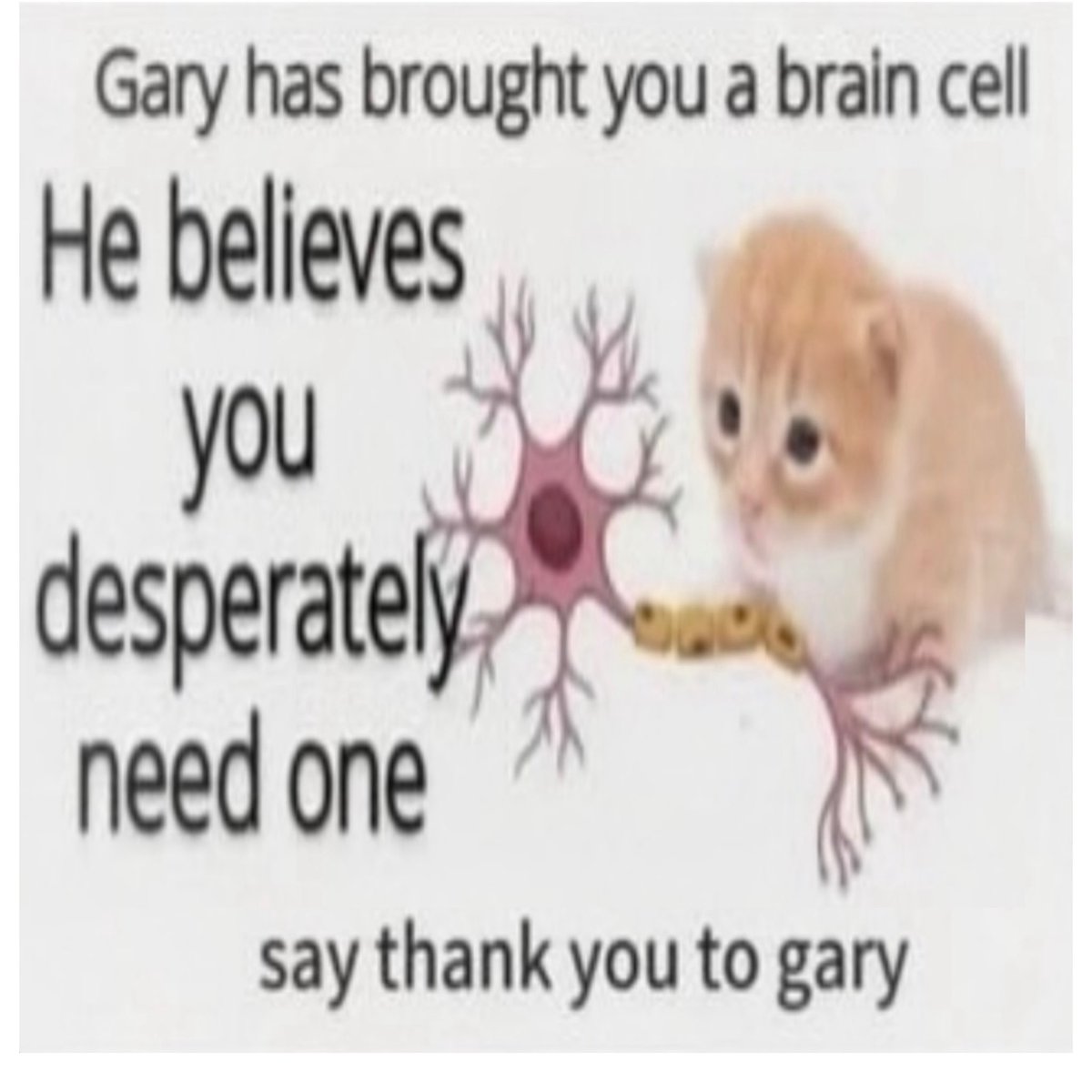 philosophymeme0 tweet picture