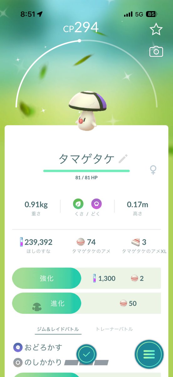 saku04191's tweet photo. 朝からラッキー✨🍄 https://t.co/bHpcquC1vz