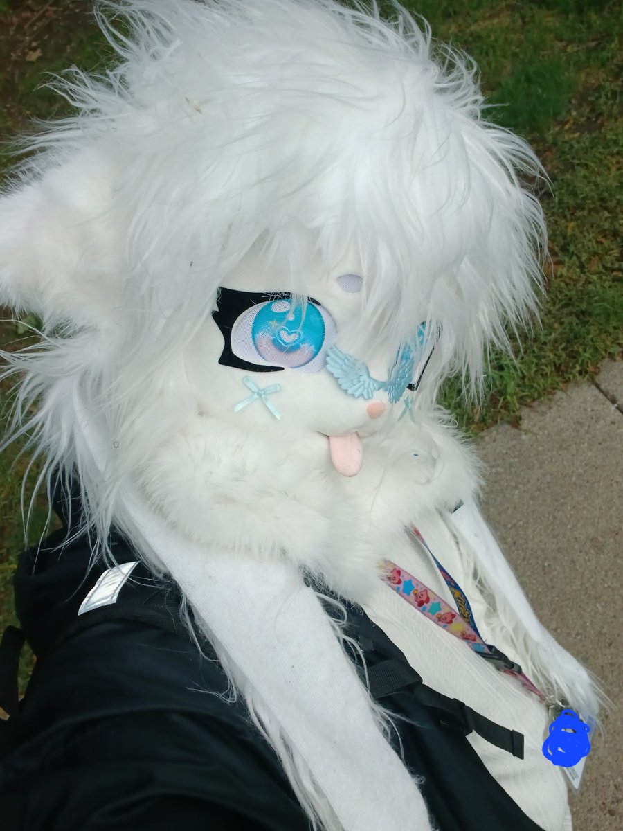 daoistoreo's tweet photo. ᓚᘏᗢ

this is the pinned. check down VVV here, for contact info, and other cool misc stuff ^3^

* yes. das me, hai! :3 https://t.co/F1jRTD8JuF