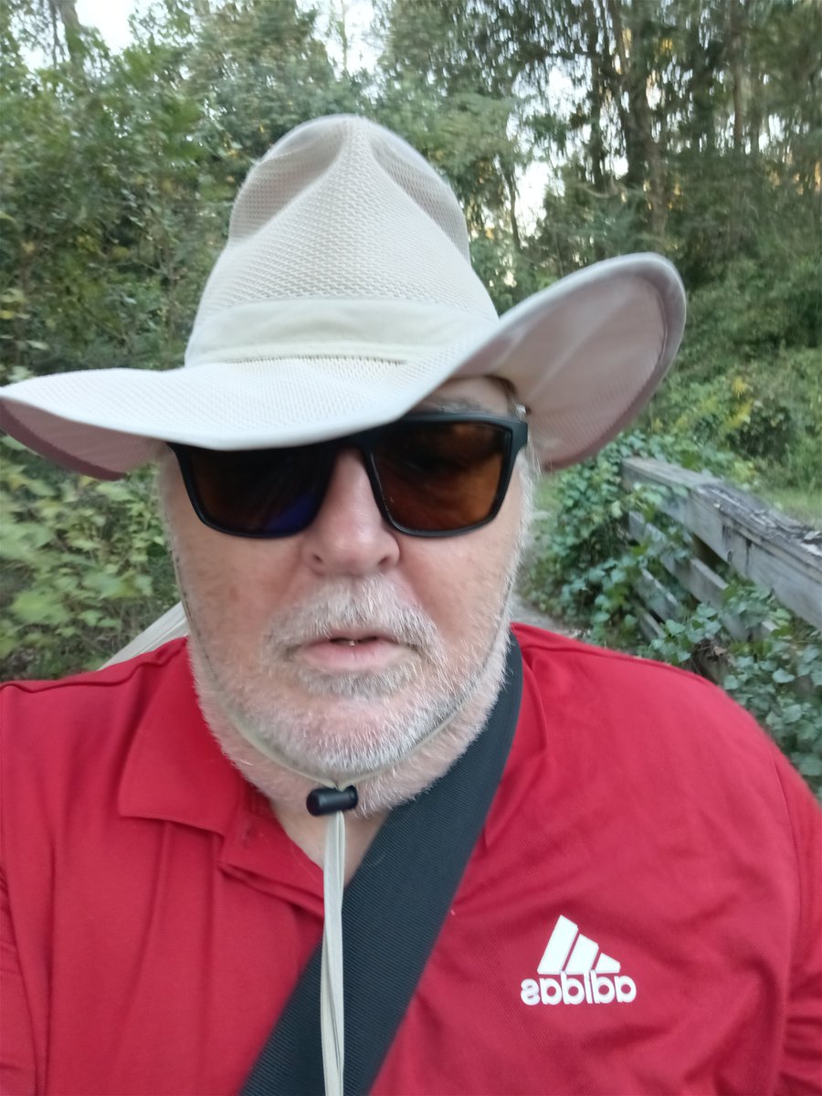 UfoExperience's tweet photo. Update on Minx Labrada's Mysterious World from a local swamp in Florida. #TheSopranos #TheXfiles #scifi #animation #workflow https://t.co/QzZDkfrM3g