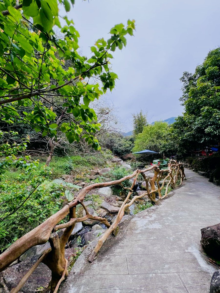 6R6hmj8Z0sDqR5r's tweet photo. My morning hike let me 沾 the fresh mountain air, trek through the well-构ted forest trails, and stop by the crystal 漳 stream—pure bliss! https://t.co/fGeXivhWO2