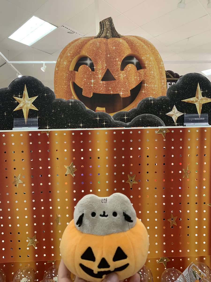 BARKYOU1's tweet photo. #pusheen https://t.co/n1JZGu3Fcs