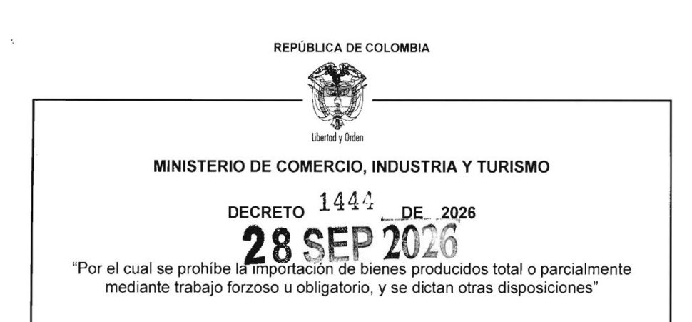 _KSolerC's tweet photo. Shein y Temu, bienvenidos a la Patria Milagro del tigre 🐯 https://t.co/kOx13Yl8SN