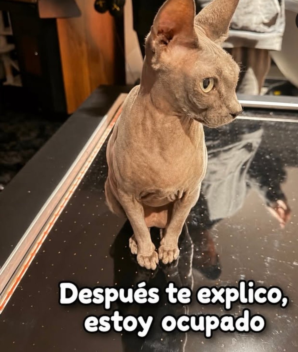HappyUpdatees tweet picture