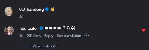 A screenshot of an Instagram comment from user "0.0_handong" with a reply in Korean ("ㅋㅋㅋ귀여워") from "fox_zzlo_" showing 261 likes.