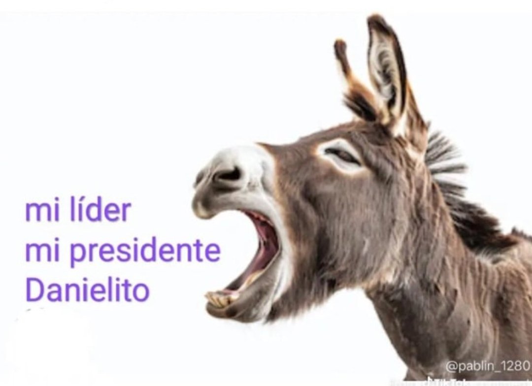 HctorCamar7646's tweet photo. @RicaurteOficial @MashiRafael @DanielNoboaOk @DonaldTrump Guagua Alcalde sigue soñando. Cuándo regrese CORREA a donde irás a meter tu culo. https://t.co/VUDMCb0sva