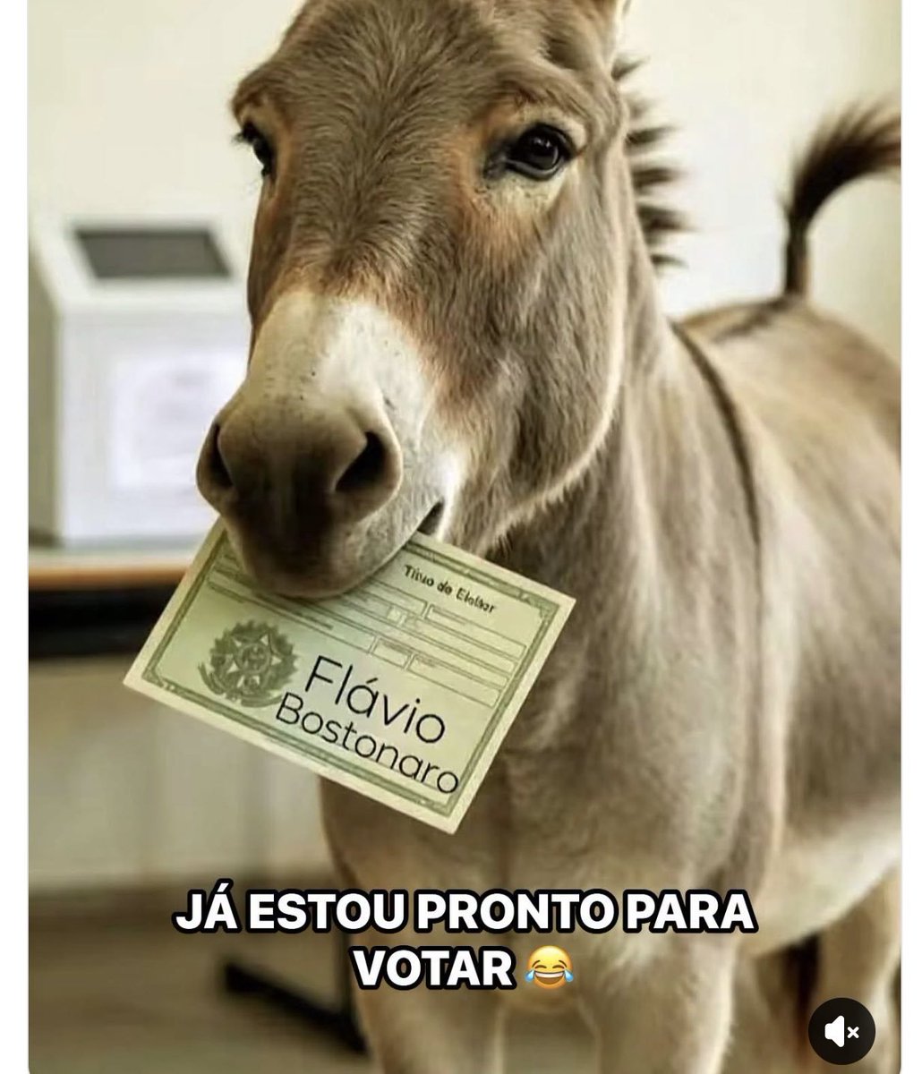 jarbasonborges's tweet photo. @luanabc1984 https://t.co/LIUnWJj5nB