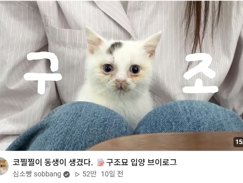bodle_mummum's tweet photo. 와 진짜 개웃기게 생김 뭐야 너 https://t.co/SYY97CBw6j