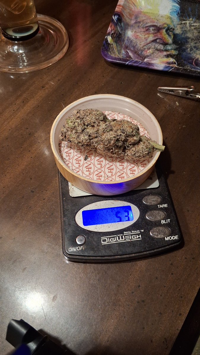 DaN4_ThE2_MaN_0's tweet photo. 💣🔥Money Kush🔥💣
Smell in the bag is Stout, Musky & Berries. Ground up brings out a Savory Funk of Cedar and Cloves. It taste Herbal, Toasted Nuts & Earthy with a mild Sweet aftertaste! All in all 10/10.
Need i say more about the bud size! Dank Buds that smell and taste amazing!!! Bought another zip!
@JLittys @lala420tokes2 
Happy 💚420💚
