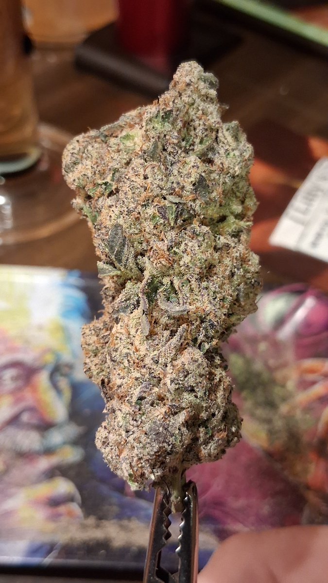 DaN4_ThE2_MaN_0's tweet photo. 💣🔥Money Kush🔥💣
Smell in the bag is Stout, Musky & Berries. Ground up brings out a Savory Funk of Cedar and Cloves. It taste Herbal, Toasted Nuts & Earthy with a mild Sweet aftertaste! All in all 10/10.
Need i say more about the bud size! Dank Buds that smell and taste amazing!!! Bought another zip!
@JLittys @lala420tokes2 
Happy 💚420💚