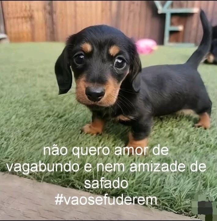 calabocazoe's tweet photo. https://t.co/JLqBUAHQCU