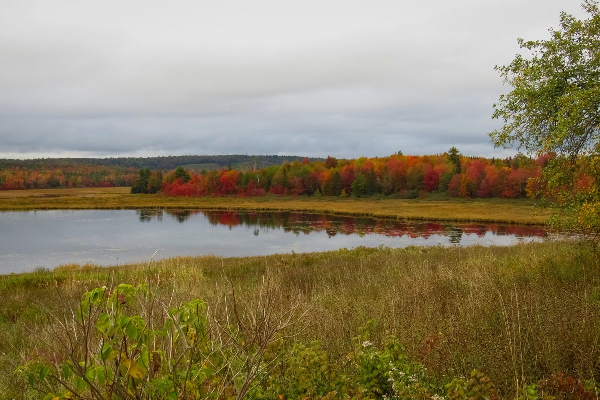 HCJosey's tweet photo. “Is not this a true autumn day? Just the still melancholy that I love—that makes life and nature harmonize.” ~George Eliot https://t.co/zVT6iRzpz3