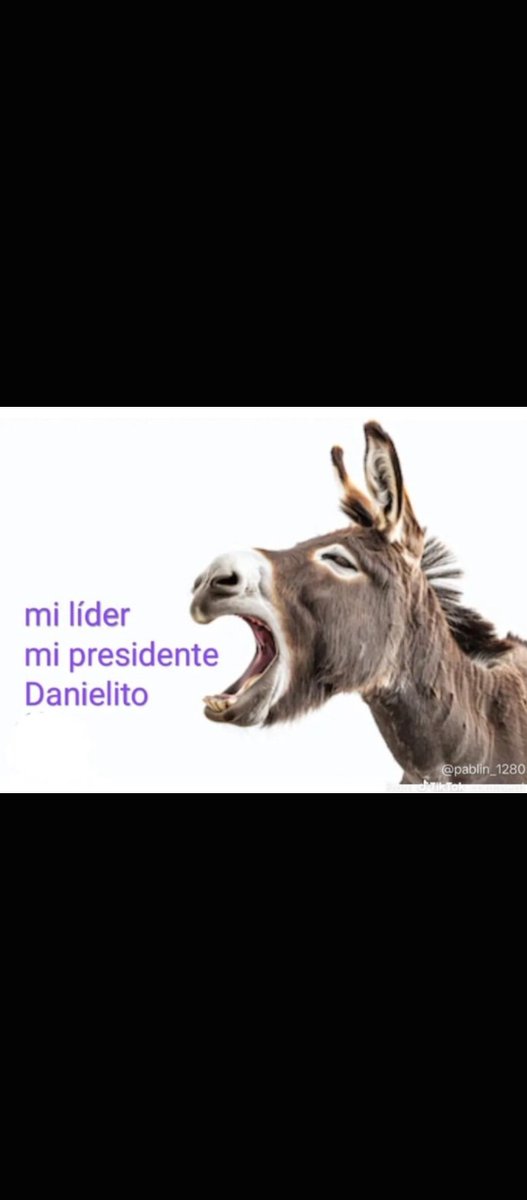 HctorCamar7646's tweet photo. @Lalizen_Ziada Burra Florinda. Te has preguntado quién liberó de la cárcel a los 20 Narcotraficantes que los encarceló CORREA. Cinco liberó Moreno, Tres liberó Lasso y 12 los a liberado NOBOA. Entonces quién pactó con los Narcotraficantes Burra. https://t.co/DP3lUPxGti