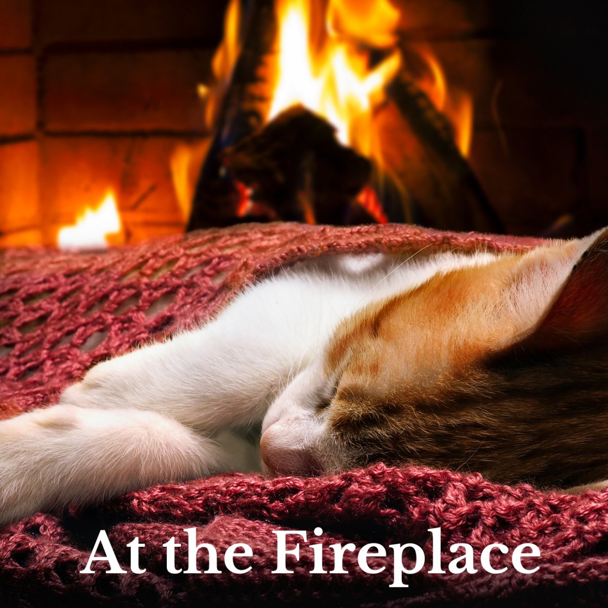 isang_u58702's tweet photo. My lazy cat's pawing at a candle, the soft glow feels like a warm spark that's really nice—such a cozy little detail! https://t.co/yc69S7PcWV