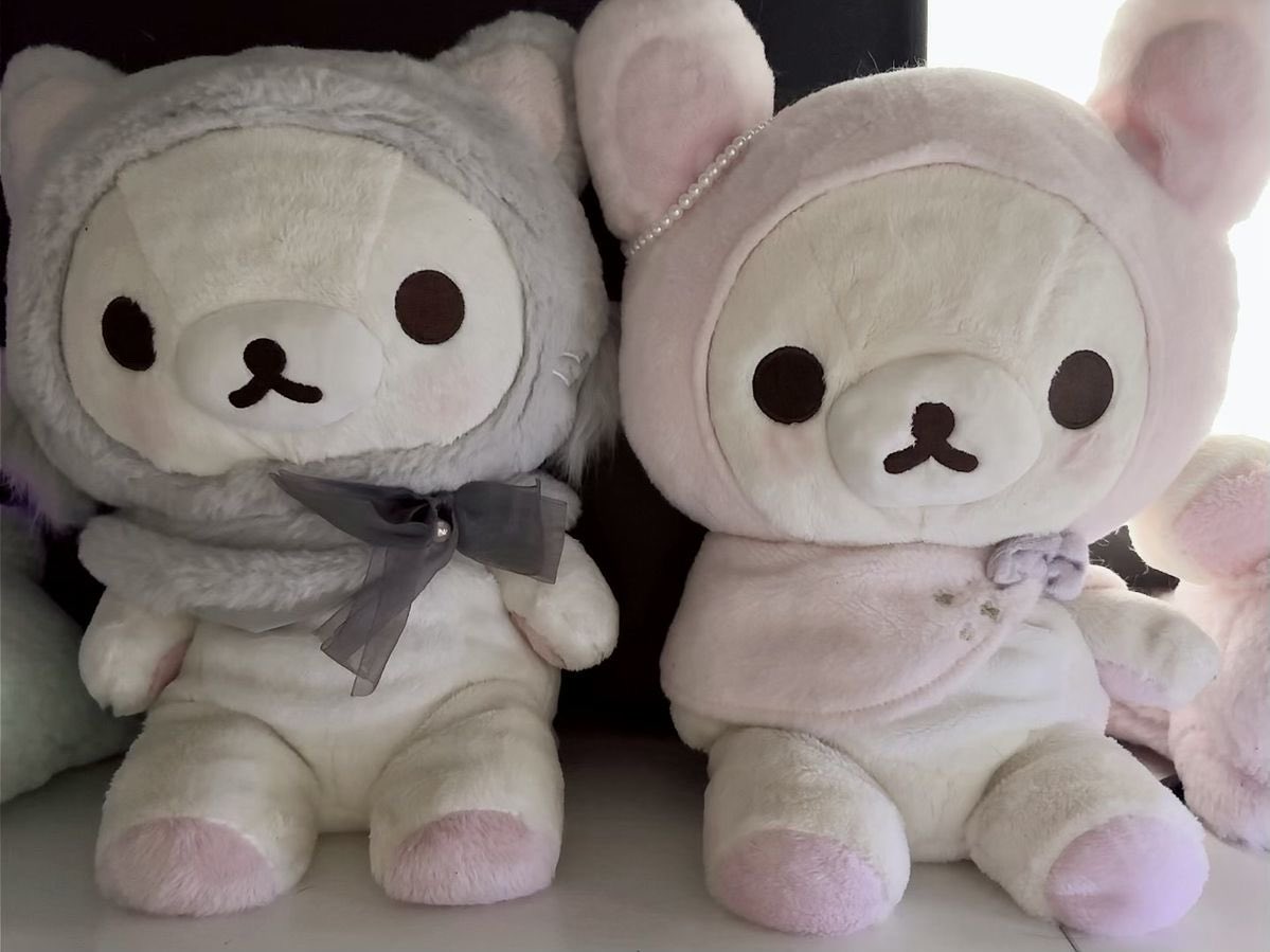 iglooicicle's tweet photo. ୭ ᵎᵎ 🌸 https://t.co/2Hdw8ozpVM