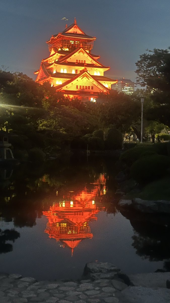 JATA_Osaka's tweet photo. #結核・呼吸器感染症予防週間 に合わせて、9/24にライトアップされた大阪城✨ https://t.co/KPqvpaOHeS