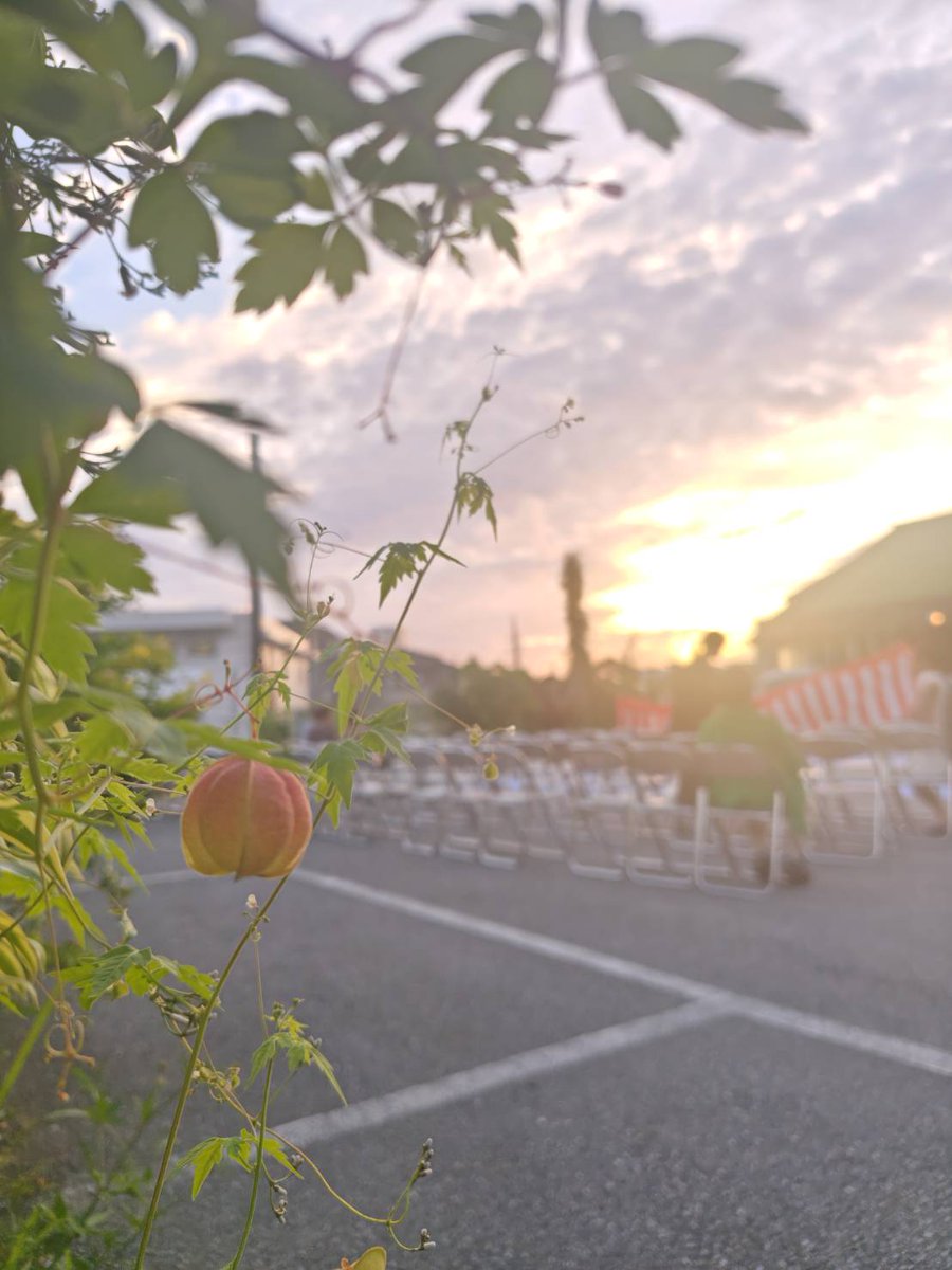 UCTA901's tweet photo. おはようございますてだモーニン🌅😎
\ 9月最終日! /
今年も残すところあと3か月👀
……早くない?🤣
沖縄はまだまだ暑いけど、少しずつ秋の気配も探してみたい今日この頃🍂
今日も浦添市観光協会OPENしています🚪
Have a great day from Urasoe! ☀️
#浦添
#URASOE https://t.co/6TexYmz6Dk