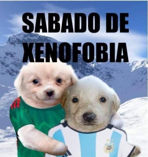 BrianismoGzm's tweet photo. Ese Argentina vs Mexico del 2022 fue una carnicería, jamás se defenderá tanto a la selección como ese día. Lástima que jugaran cagada y les diera frío contra Argentina https://t.co/DggUudJhle
