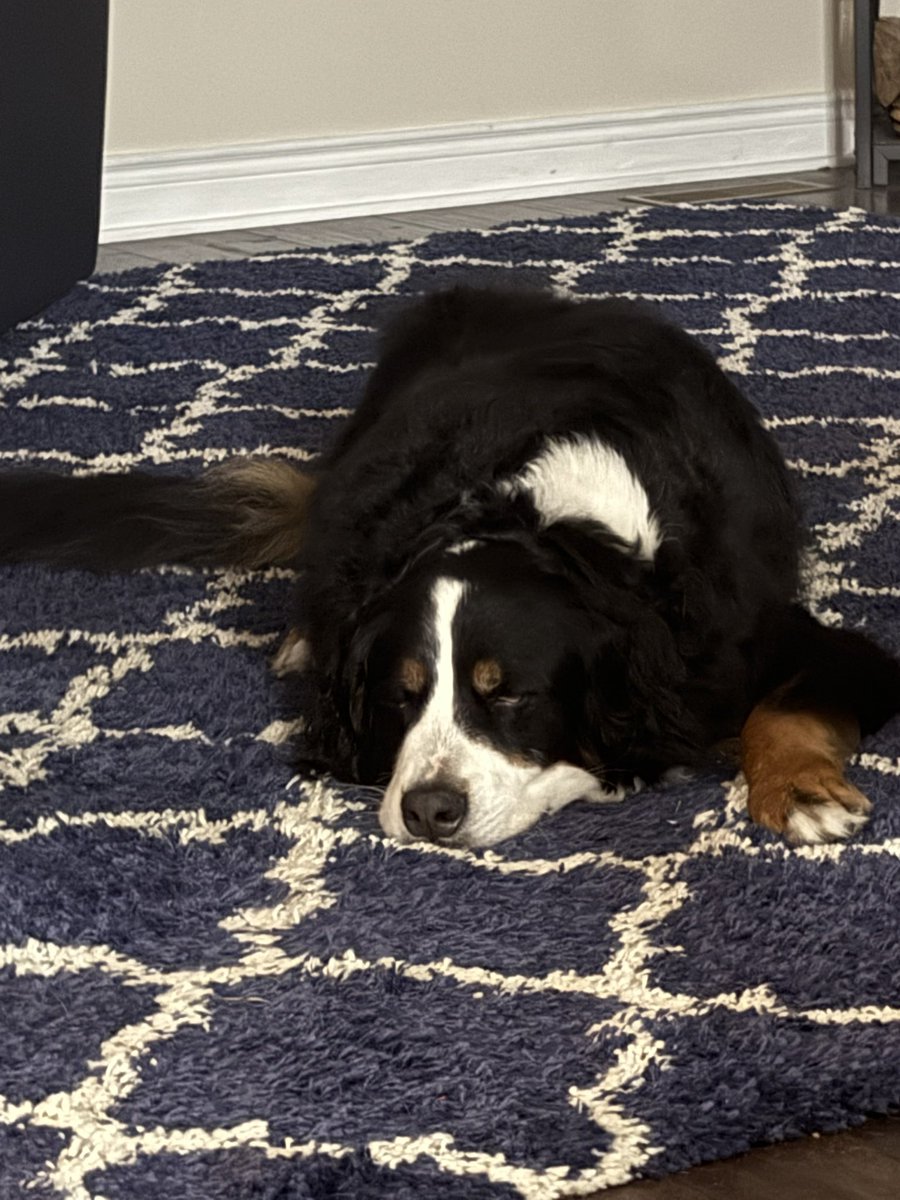 residentkaia's tweet photo. guys she’s so sleepy :( 🩷 https://t.co/yr6VYleYXQ