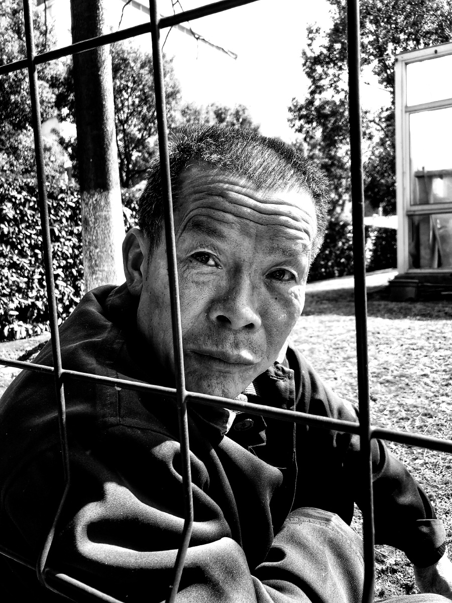 echo_danie__59b's tweet photo. A lonely gardener tends a withered fence in the quiet yard.， https://t.co/yVazY5kQFu