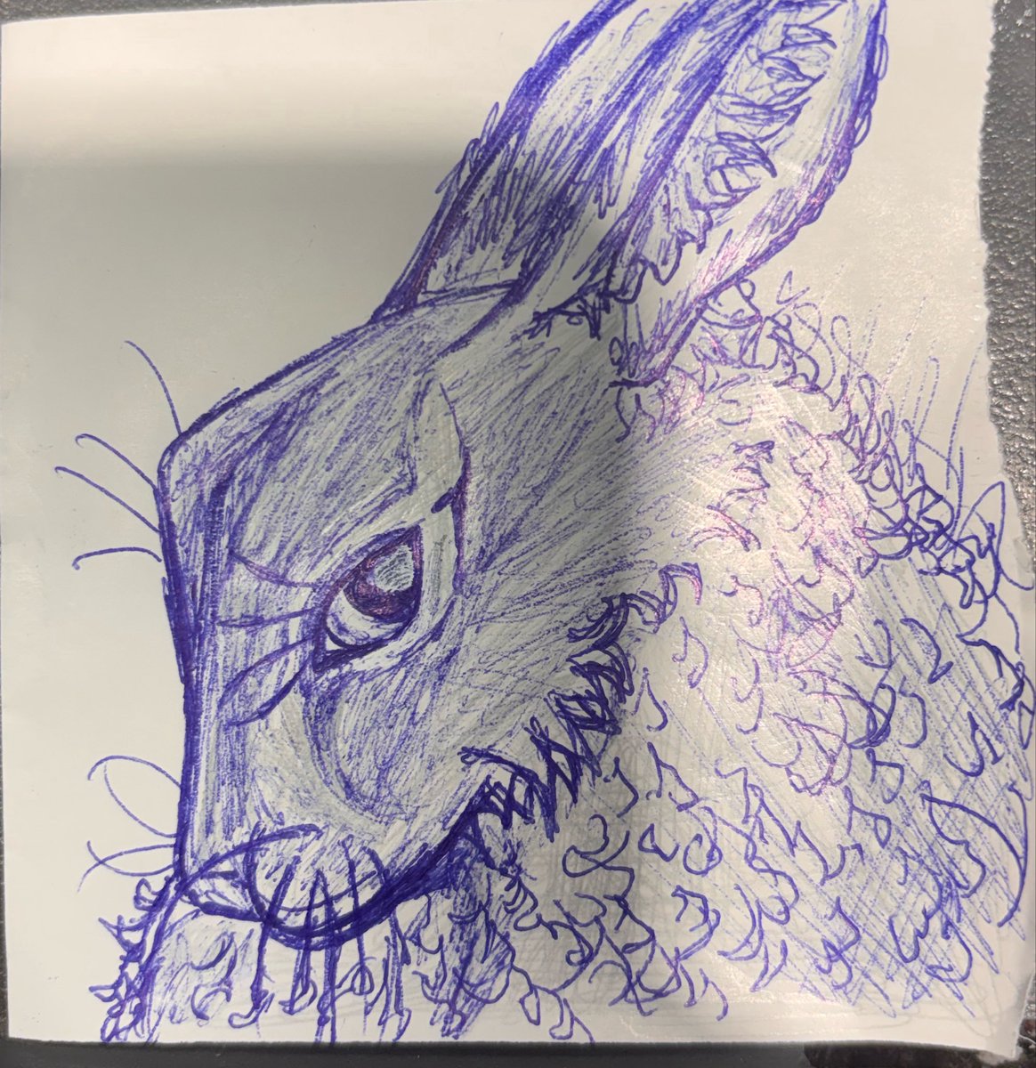 fuertecitoC's tweet photo. 🐇 https://t.co/CogTTCkpoH