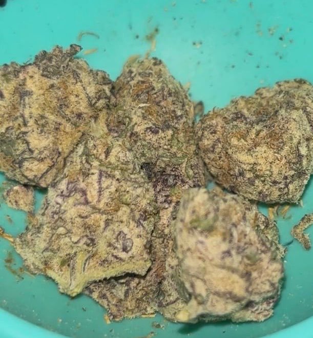 MaconhanoX's tweet photo. Cardápio📋👇
https://t.co/SnBZvJrdEw

PRENSADO
CAPULHO
GOLD
SKANK
COGUMELOS
DRY
HAX
ICE
COMPRA MACONHA 
MACONHA EM PORTO ALEGRE
À VENDA

#delivery #riodejaneiro #maconha #skank #SãoGonçalo #colombiagold #DuquedeCaxias #NovaIguaçu #cremas #ice #fullmelt #cremas #crumble #flor https://t.co/ETEu3nUfxN