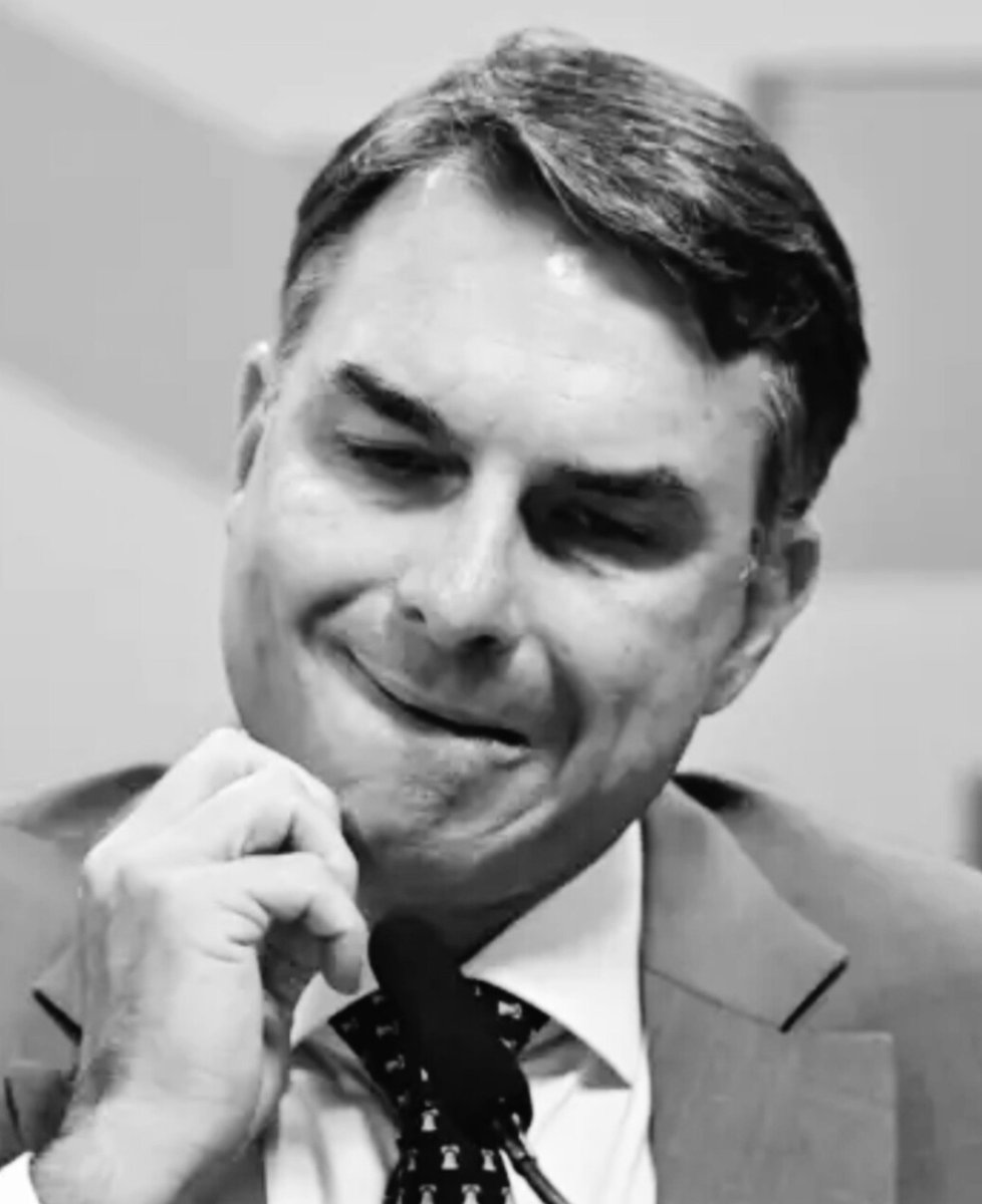 NP__Oficial's tweet photo. 🚨 OPINIÃO l Por que um eleitor não deve votar em Flávio Bolsonaro, na sua opinião? https://t.co/Qism5I00TI