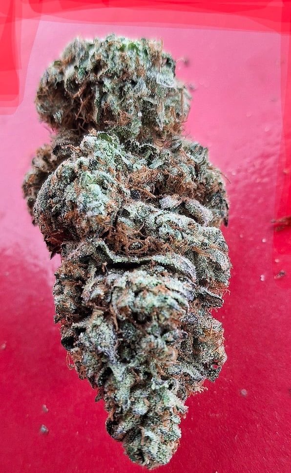 MaconhanoX's tweet photo. Cardápio📋👇
https://t.co/SnBZvJrdEw

PRENSADO
CAPULHO
GOLD
SKANK
COGUMELOS
DRY
HAX
ICE
COMPRA MACONHA 
MACONHA EM GUARULHOS
À VENDA

#delivery #riodejaneiro #maconha #skank #SãoGonçalo #colombiagold #DuquedeCaxias #NovaIguaçu #cremas #ice #fullmelt #cremas #crumble #flor https://t.co/8zSVVrbDTs