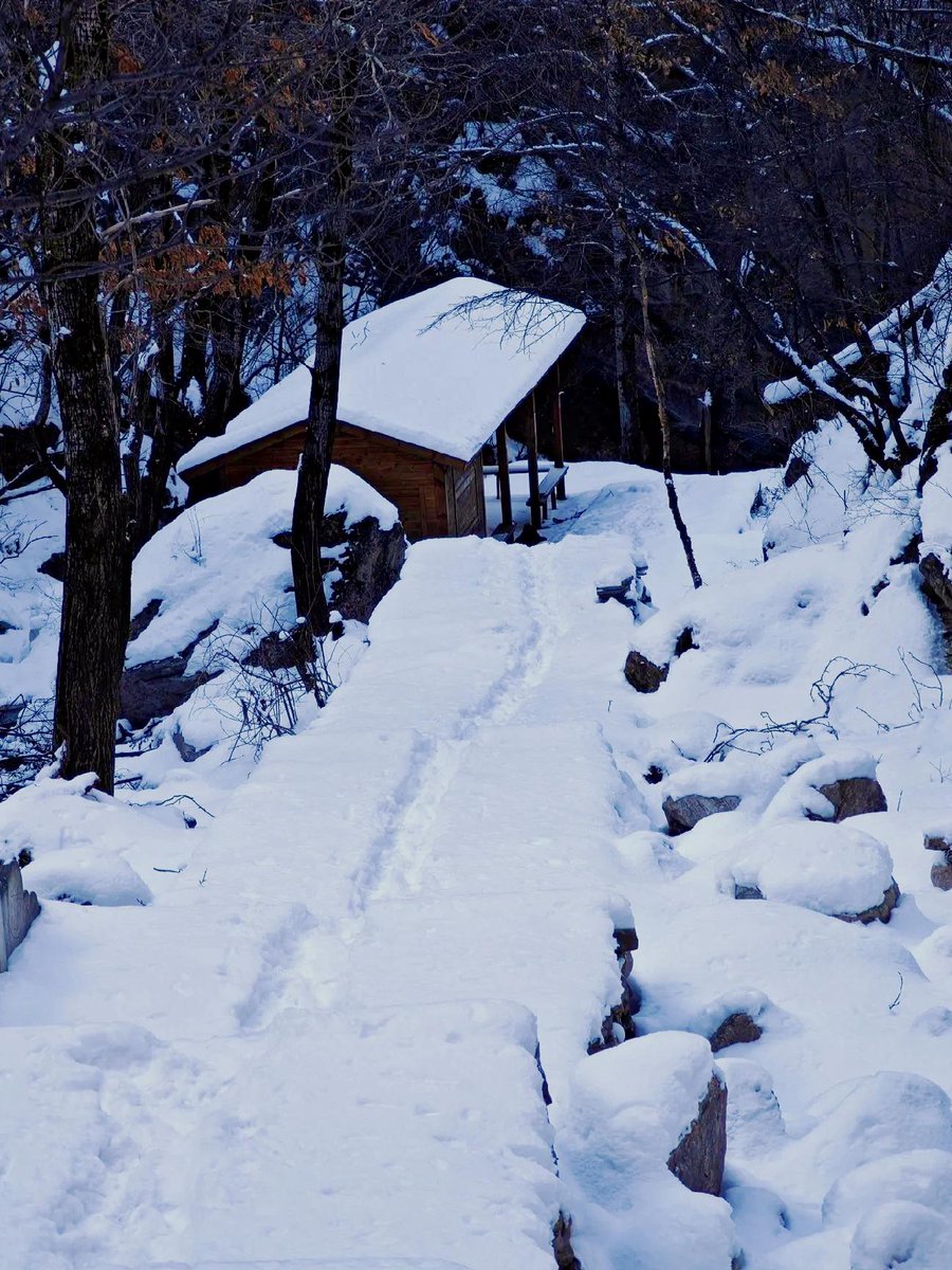 dbrldbs7's tweet photo. [At the foot of the hill, we greet the bright and festive winter—warm joy wraps the whole season!]， https://t.co/YKxm5B50cl