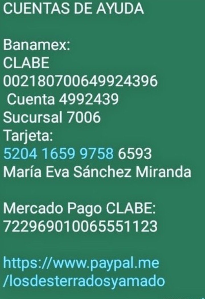 mujersina's tweet photo. Amigos así están los pobres perros  me siento tan impotente, mañana ya el veterinario me va tener todo un tratamiento para 20 animalitos que no va estar barato y no me alcanza, #AyudaAnimal por favor 🙏🏻🙏🏻🙏🏻 ya acabó abruptamente la temporada de Lo Que Callamos Las Suegras así que ando desempleada ¡Qué miedo! #URGENTE 🥹🥹🥹🥲🥲🥲😭😭 @AM0LasMascotas
@FundacionToby @AyudarAnim94901 @perrostristes