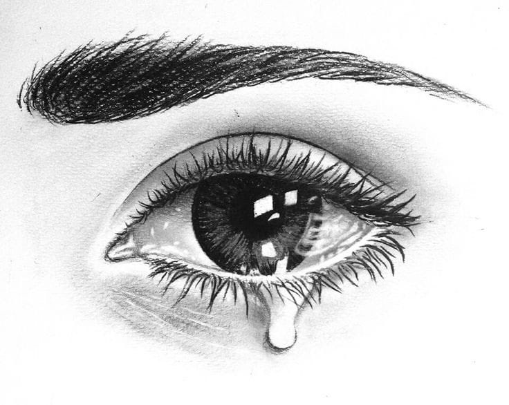 Anmol_Hiya's tweet photo. *تیرے بخشے ہوۓ حالات میں زندہ رہ کر... زندگی تجھ پہ تو احسان کیا ہے میں نے...!!!"* https://t.co/FvqKIqgai3