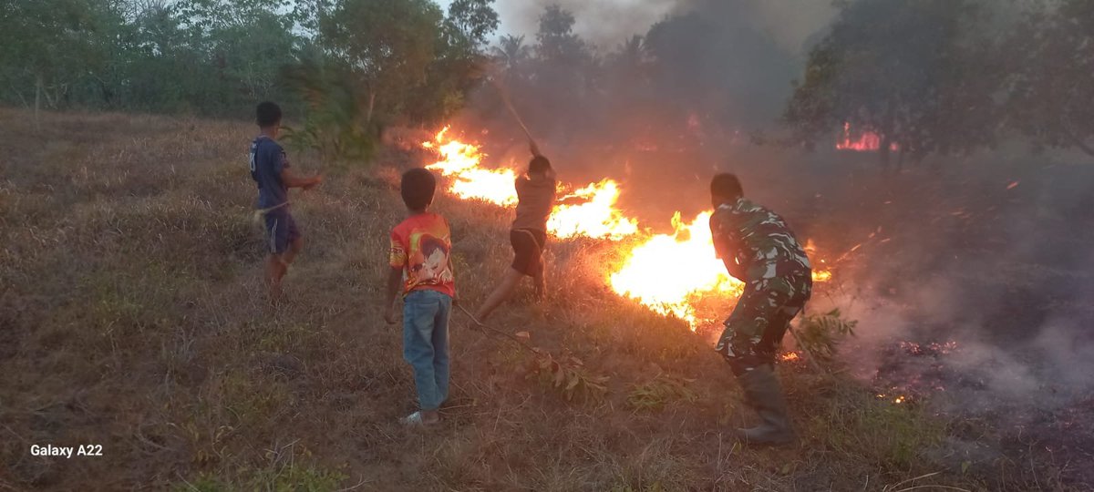 KODIM__1404_PRG's tweet photo. Kebakaran lahan terjadi di sebelah timur area Lapangan Tembak Yonif 721/Makkasau, Dusun Malimpung, Desa Malimpung, Kecamatan Patampanua, Kabupaten Pinrang, Rabu (30/9/2026) malam. https://t.co/U6ZiFgcAp3