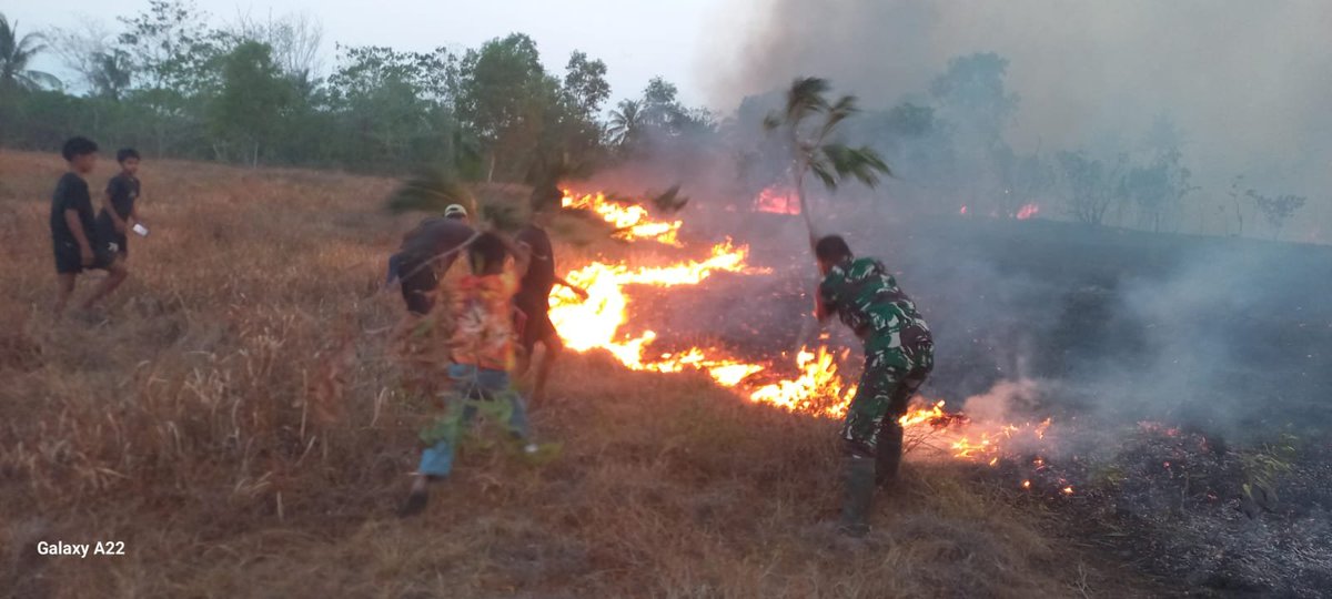 KODIM__1404_PRG's tweet photo. Kebakaran lahan terjadi di sebelah timur area Lapangan Tembak Yonif 721/Makkasau, Dusun Malimpung, Desa Malimpung, Kecamatan Patampanua, Kabupaten Pinrang, Rabu (30/9/2026) malam. https://t.co/U6ZiFgcAp3