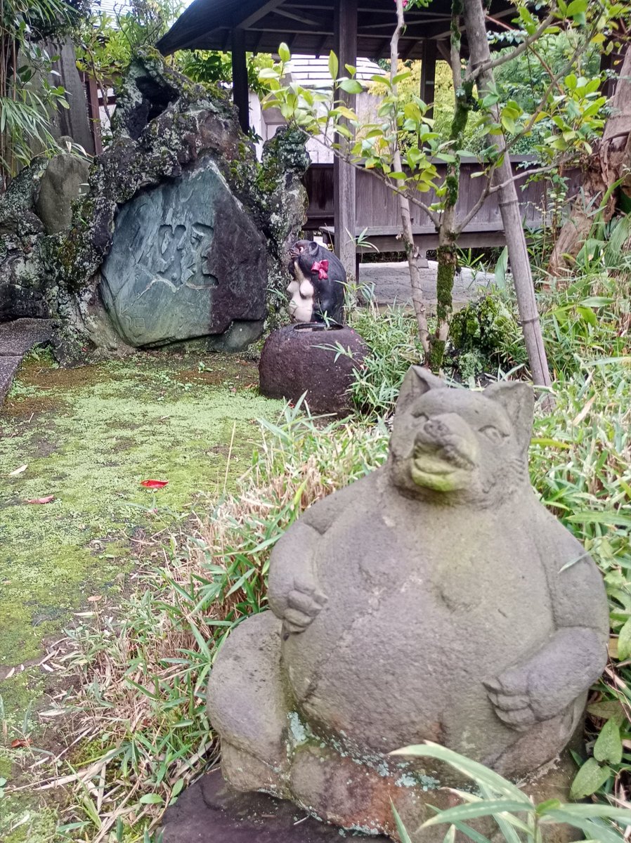 Fridge_0_Empty's tweet photo. 「隅田山吉祥院 多聞寺」②
"狸塚"
江戸以前､多聞寺周辺は鬱蒼とした河原で妖怪狸が住み着く恐ろしい場所だったとか🦝🦇
大入道と化した狸と人間の激烈な争いの結果､本尊である #毘沙門天 (#隅田川七福神)が狸を成敗したという伝承が残ります⚡
その狸たちを供養し祀ったのが #狸塚 🙏 https://t.co/9zoaD8SMKJ