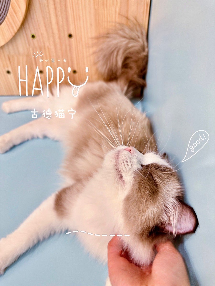 xfxK8xZ5wb25ygw's tweet photo. [Safe u0026 cozy, breathe easy!] https://t.co/1Tc4oLzBiv
