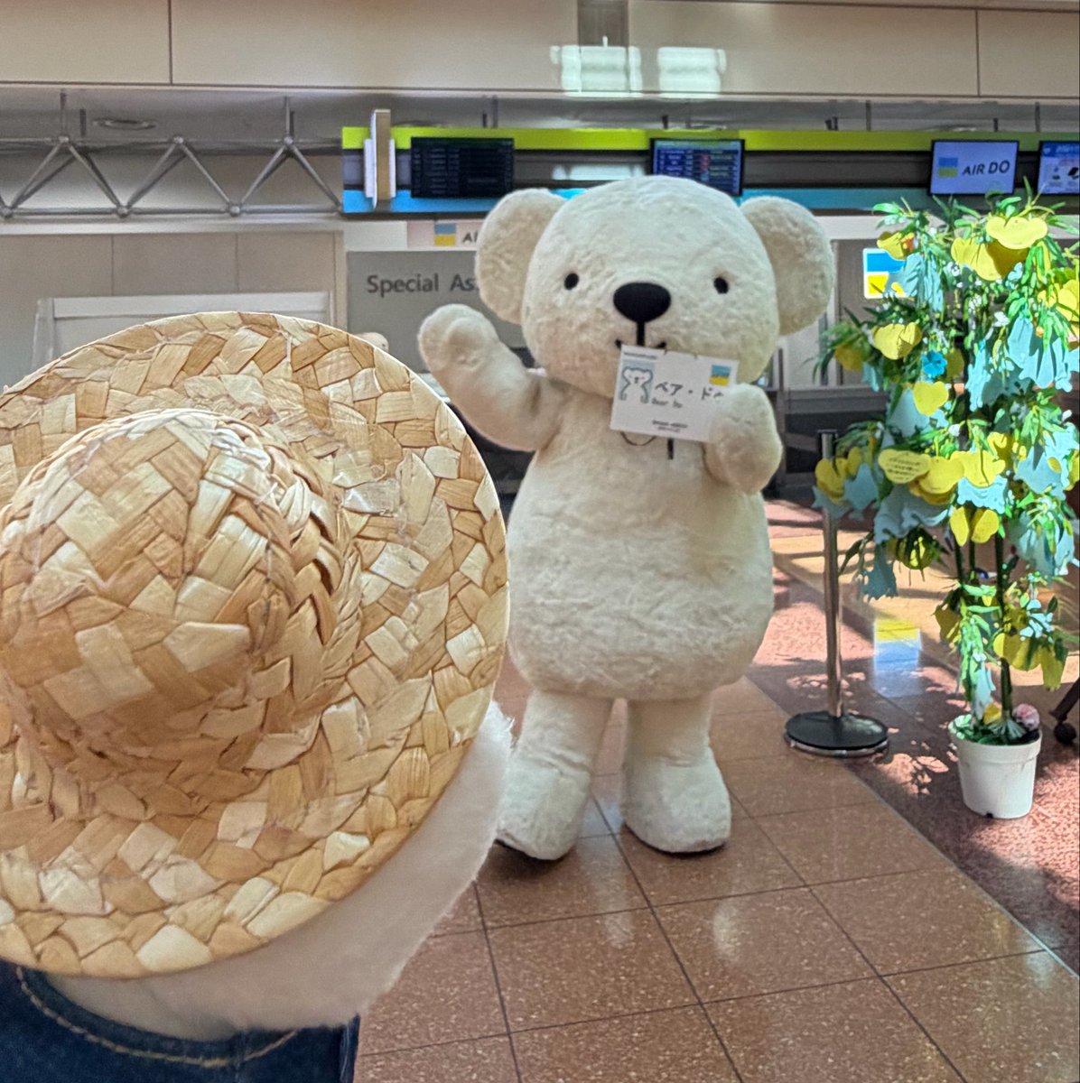 sappypierrot's tweet photo. 代々木今のところお天気大丈夫そうで嬉しい🎶
ピカピカの晴れで暑いとベア・ドゥ大変だから、雨の降らないいい感じのくもりがいいな！🌤️ https://t.co/DdMPQDTCVX