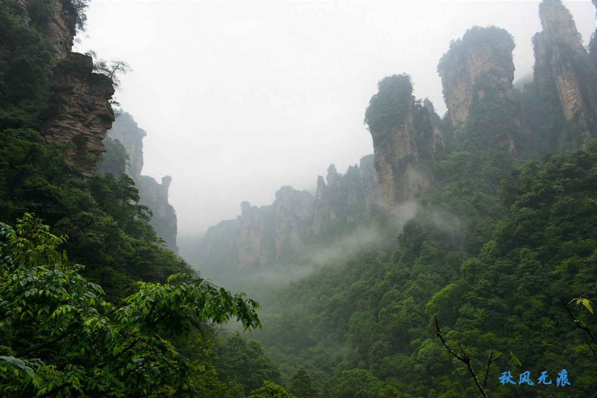 Mjcnmmc's tweet photo. [In a misty mountain pass, I hold a rusted gun, no fancy gear, just a simple life, with craggy peaks in sight.]， https://t.co/R6mCDxa61E