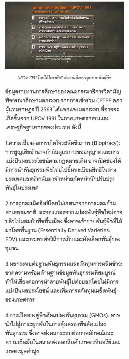 Quinntc177123's tweet photo. ขออนุญาตพื้นที่แท็ก #น้ำท่วม เพราะเมื่อวานมีเกษตรกรบางส่วนชุมนุมคัดค้าด #UPOV1991 ที่ภูเก็ต แต่เงียบมาก อยากให้คนสนใจมากเพราะอนุ���ัญญาส่งผลกระทบเป็นอย่างมากต่อเกษตรกรไทยโดยเฉพาะชาวนา

อ่านเพิ่มได้ที่: 
- https://t.co/9B5SEFPvgg
- https://t.co/Ev1c1Xr0tz

#อนุทิน #คัดค้านUPOV1991 https://t.co/fDTt6pRb0F
